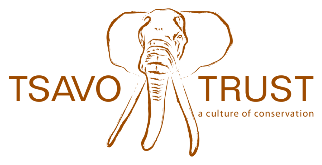 Tsavo Web Logo